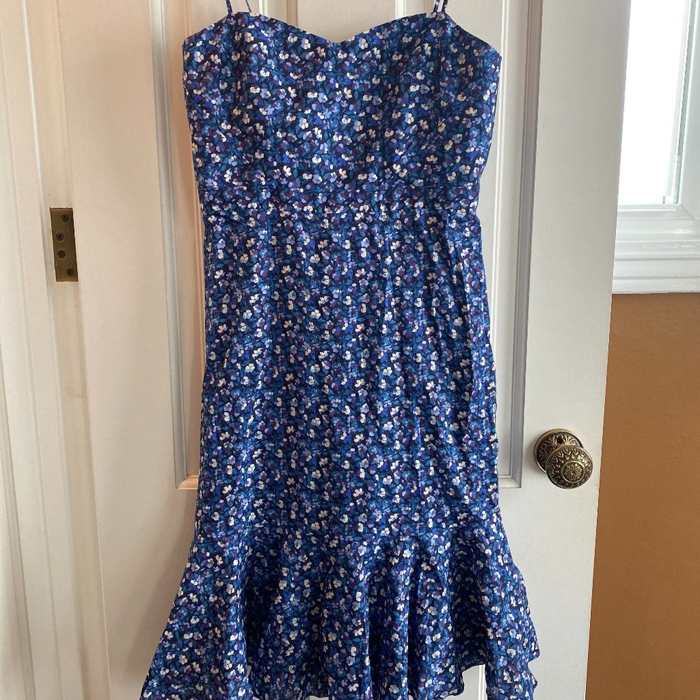J.Crew Liberty London Floral Blue Dress